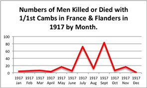Casualty graph for 1917